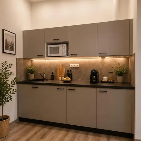 Zizkov Nest 아파트 프라하